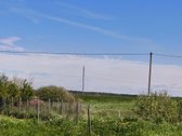 Parduodamas žemės ūkio paskirties sklypas - nuotraukos Nr. 13