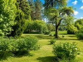 Parduodamas 7,19a Sklypas Verkių Soduose, Vilniuje - nuotraukos Nr. 12