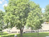 Plungės širdyje, visai šalia fontano pilnai - nuotraukos Nr. 5