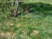 Parduodamas 10 a namų valdos sklypas Vilniaus - nuotraukos Nr. 10