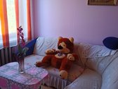 Alytaus rajone, Pivašiūnų miestelyje Ežero - nuotraukos Nr. 20
