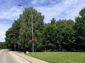 Išnuomojamas Tvarkingas, Erdvus 2 Kambarių - nuotraukos Nr. 11