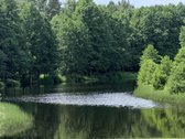 Išnuomojamas Tvarkingas, Erdvus 2 Kambarių - nuotraukos Nr. 13