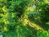 Parduodamas vieno aukšto su mansarda rąstinis - nuotraukos Nr. 20