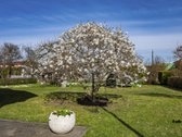 Išskirtinis Namas Baltupiuose Prie Verkių - nuotraukos Nr. 37