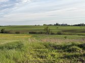 Erspektyvioje Aukštųjų Rusokų gyvenvietėje - nuotraukos Nr. 13