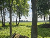 Sklypas yra gražioje vietoje prie Šešupės - nuotraukos Nr. 3