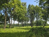 Sklypas yra gražioje vietoje prie Šešupės - nuotraukos Nr. 4
