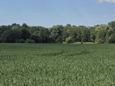 Sklypas yra gražioje vietoje prie Šešupės - nuotraukos Nr. 5