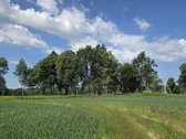 Sklypas yra gražioje vietoje prie Šešupės - nuotraukos Nr. 6