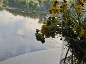 Įspūdingas vaizdas į Nemuną iš svetainės, iš - nuotraukos Nr. 5
