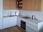 Įspūdingas vaizdas į Nemuną iš svetainės, iš - nuotraukos Nr. 10