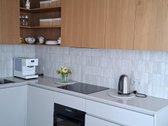 Įspūdingas vaizdas į Nemuną iš svetainės, iš - nuotraukos Nr. 11
