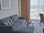 Įspūdingas vaizdas į Nemuną iš svetainės, iš - nuotraukos Nr. 18