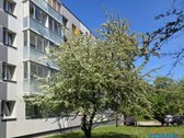 3 Kambarių Butas Renovuotame Name Šalia - nuotraukos Nr. 18