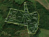Parduodamas 20,64 ha miškas Telšių raj.