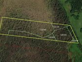 Parduodamas 3,54 ha miškas Anykščių raj.