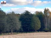 Parduodamas 4,3000 ha žemės sklypas Šiaulių - nuotraukos Nr. 17