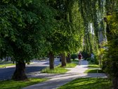 Sklypas Žaliakalnyje – tai unikali galimybė