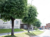 Parduodamas 3 kambarių butas Švenčionėliuose - nuotraukos Nr. 2