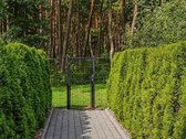 Pirmoje pušyno linijoje, komplekse “Gintarinė - nuotraukos Nr. 30