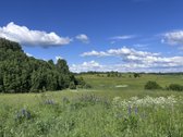 Sodyba Ant Kalvos Prie Miško – Ramybė, - nuotraukos Nr. 10