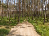 Parduodami namų valdos žemės sklypai - nuotraukos Nr. 5