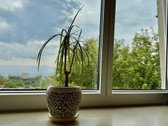 Parduodamas butas ramioje Tverečiaus gatvėje, - nuotraukos Nr. 15