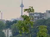 Parduodamas butas ramioje Tverečiaus gatvėje, - nuotraukos Nr. 23