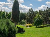 Parduodamas erdvus gyvenamasis namas labai - nuotraukos Nr. 6