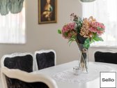  – Nt ekspertai be procentų - nuotraukos Nr. 11