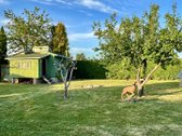 Parduodami du greta esantys sodo sklypai - nuotraukos Nr. 7