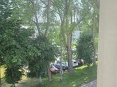 Vos 50 metrų ir jau balto smėlio kopose, ir - nuotraukos Nr. 16