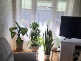 Parduodamas 3 kambarių butas Varnių miesto - nuotraukos Nr. 4