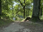 Isnuomojamas modernaus stiliaus ir ypatingai - nuotraukos Nr. 7
