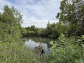 Parduodama Išskirtinė 6,9 Ha Gamtos Valda - nuotraukos Nr. 3