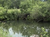Parduodama Išskirtinė 6,9 Ha Gamtos Valda - nuotraukos Nr. 5