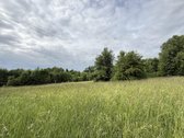Parduodama Išskirtinė 6,9 Ha Gamtos Valda - nuotraukos Nr. 6