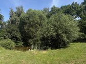 Parduodamas dvigubo dydžio (12 arų) Kraštinis - nuotraukos Nr. 5