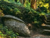 Parduodama Išskirtinė 6,9 Ha Gamtos Valda - nuotraukos Nr. 15