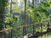 Parduodama Išskirtinė 6,9 Ha Gamtos Valda - nuotraukos Nr. 20