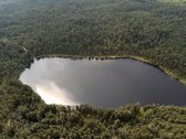 Parduodama Išskirtinė 6,9 Ha Gamtos Valda - nuotraukos Nr. 21