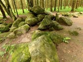 Parduodama Išskirtinė 6,9 Ha Gamtos Valda - nuotraukos Nr. 22