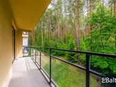 Puikiai įrengtas dviejų kambarių butas - nuotraukos Nr. 3