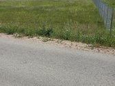 Parduodamas Sklypas Ketvergių Gyvenvietėje - nuotraukos Nr. 7