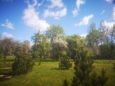 Skirsnemunėje parduodamas dviejų aukštų - nuotraukos Nr. 49
