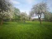 Skirsnemunėje parduodamas dviejų aukštų - nuotraukos Nr. 50