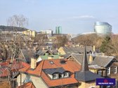 Nuomojamas Erdvus, Aukštomis Lubomis 3