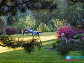 Prabangus Namas Su Baseinu Žaliajame Slėnyje - nuotraukos Nr. 5