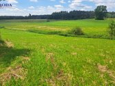 Sodyba - vienkiemis, vos 500m. iki ežero, 215 - nuotraukos Nr. 29
